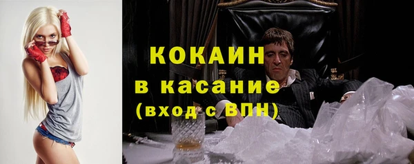 молекула духа Алексеевка