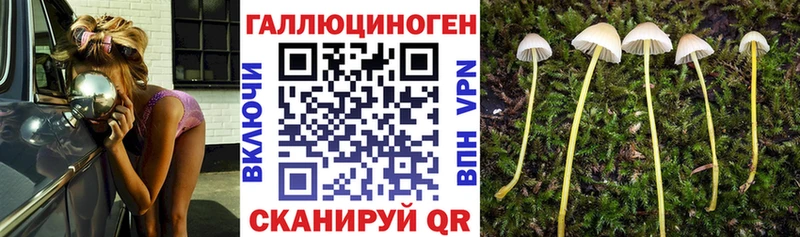 Купить  Слободской  Псилоцибиновые грибы мицелий 